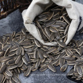 sunflower seeds from Xinjiang Province